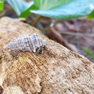 Meet your Posher, Lynn